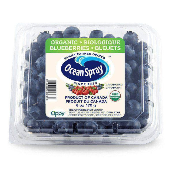 Blueberries, Organic - Image 2