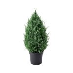 Artificial potted plant, indoor/outdoor cypress6 "