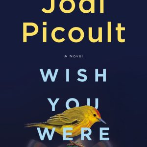 Wish You Were Here by Jodi Picoult